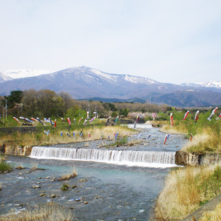 松川鯉のぼり