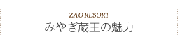 みやぎ蔵王の魅力